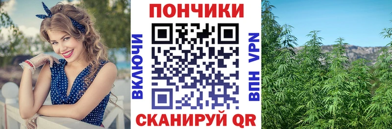 Канабис ГИДРОПОН мега онион Подольск купить наркотики цена